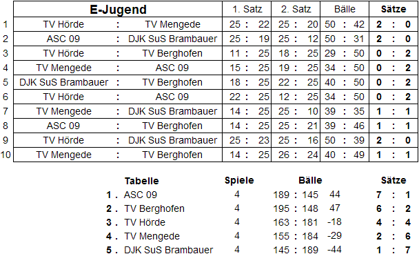 E-Jugend-Turnier 01.06.08
